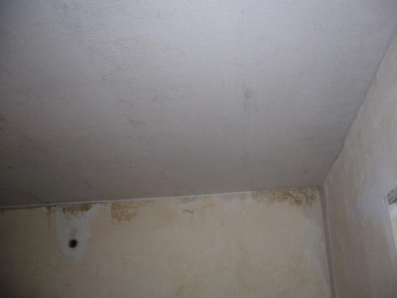 P1030583 